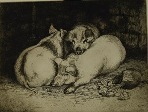 Image description is not available for DU1944.13